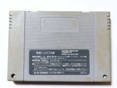 画像2: 【特売品】アラジン　箱説無　SFCスーパーファミコン【管理8m1】 (2)